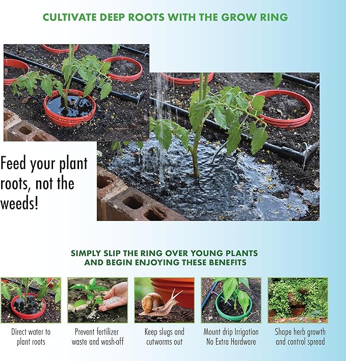 Kids Cucumber Garden Kit – Grow Your Own Cucumbers from Seeds with Greenhouse Germination Domes & Grow Rings, Non-GMO Seeds, BPA-Free | Gardening Gift for Kids & Families, Made in USA