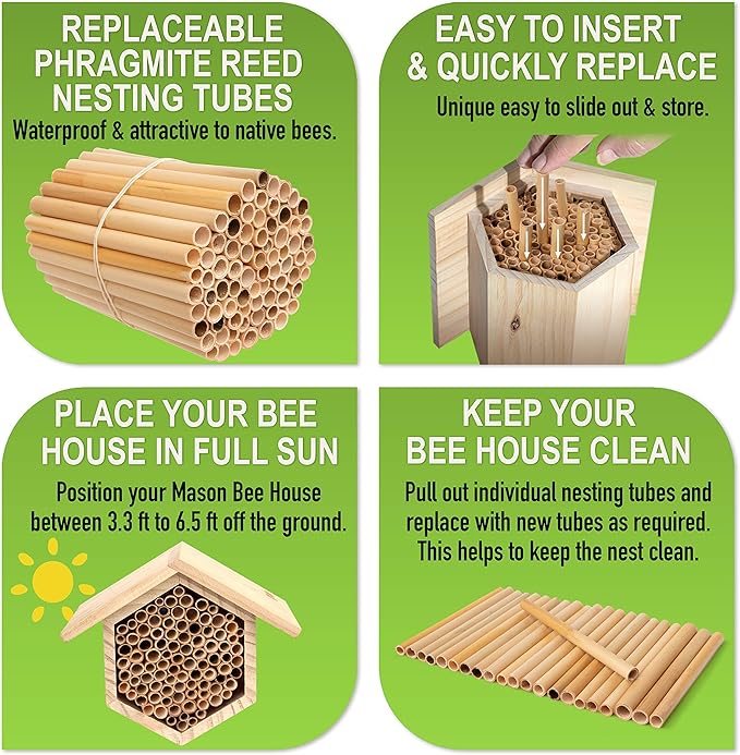 Rivajam 75 Phragmite Reed Mason Bee Tubes | Recommended for Garden Starter Kits & Solitary Bee Hive Supplies