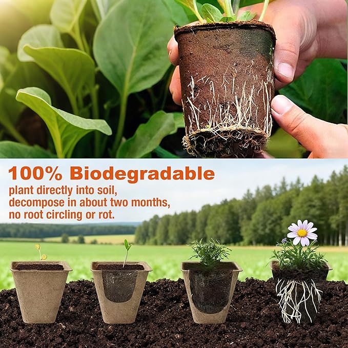 40 Pack Biodegradable Peat Pots with Drainage Holes – 3.15 Inch Organic Seed Starter Pots for Seedlings – Garden Germination Nursery Pots for Vegetables, Herbs & Flowers