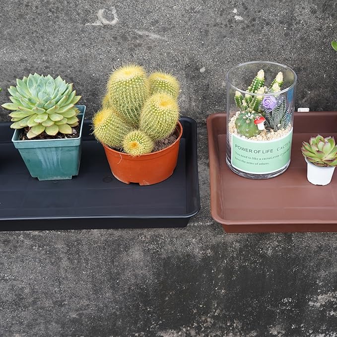 2 Pack Plant Saucer Tray Rectangular, Plant Growing Nursery Trays, Heavy Sturdy Seed Starting Trays, Plants Starter Saucers for Indoors No Holes, Seed Starter Growing Tray (17.5"x10.6", Black)