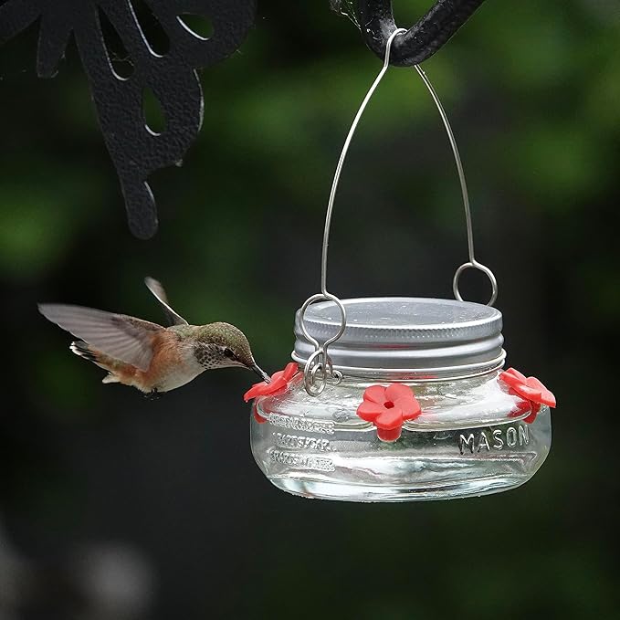 Nature’s Way Vintage Glass Jar Hanging Hummingbird Feeder, 6 oz Nectar Capacity, 4 Flexible Feeding Ports, Easy Clean Dish-Style Feeder for Outdoor Yard Décor, Clear