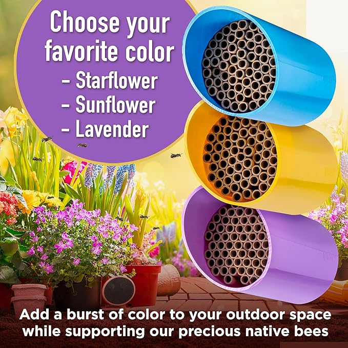 Rivajam Color Splash Mason Bee House - Vibrant & Strong Waterproof Bee Hotel & Insect Habitat - Mason Bee Tubes Filled Bee Houses for The Garden - Pollinator House Bug Hotel Gardening Gifts