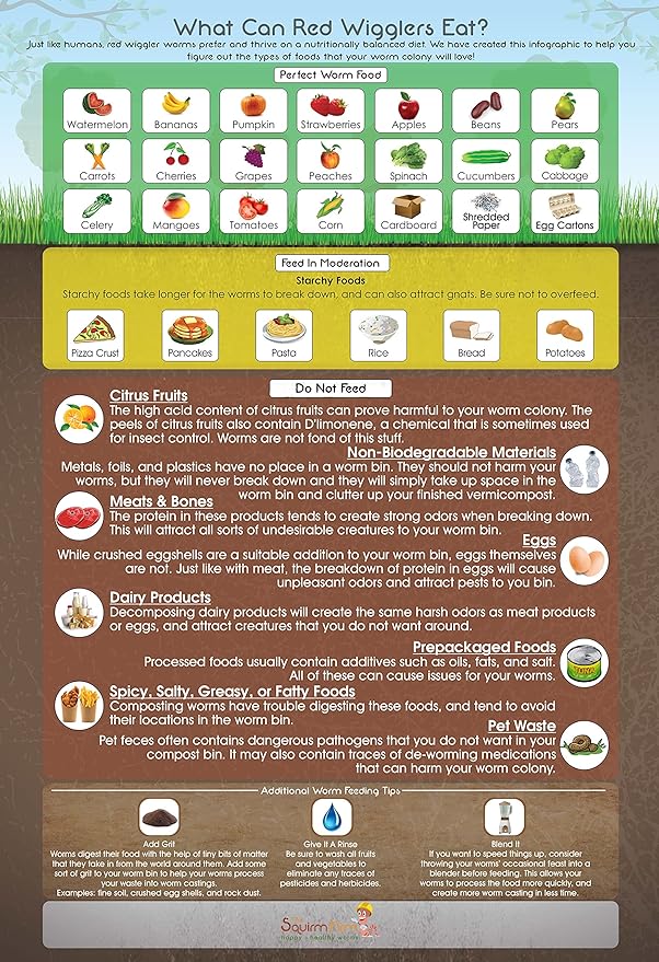 What Can Red Wigglers Eat? 13x19 Infographic Poster for Live Red Wiggler Worm Composting Bins - an Essential Accessory to Any Worm Farm Starter Kit - Perfect for Kids & Adults