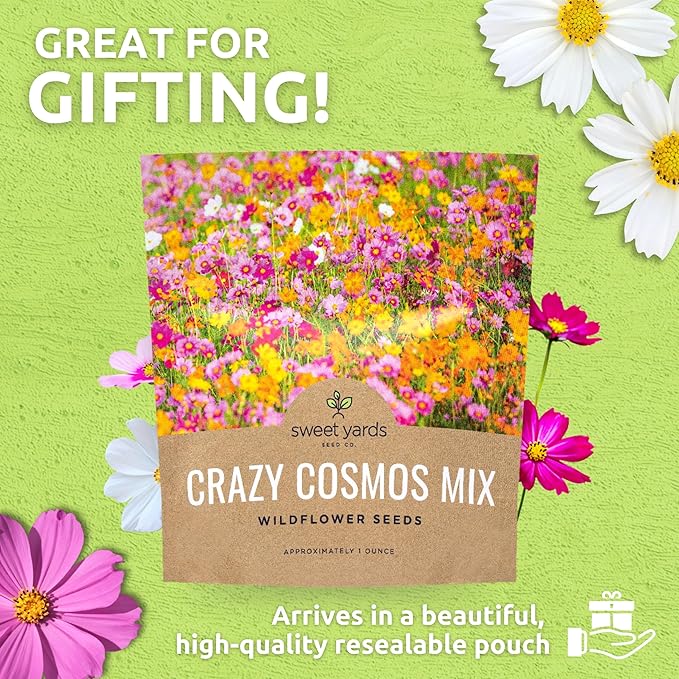 Cosmos Seeds Wildflower Mixture - Bulk 1 Ounce Packet - Over 5,000 Seeds - Pink, Yellow, Orange, Red, Purple and White Mixed Species!