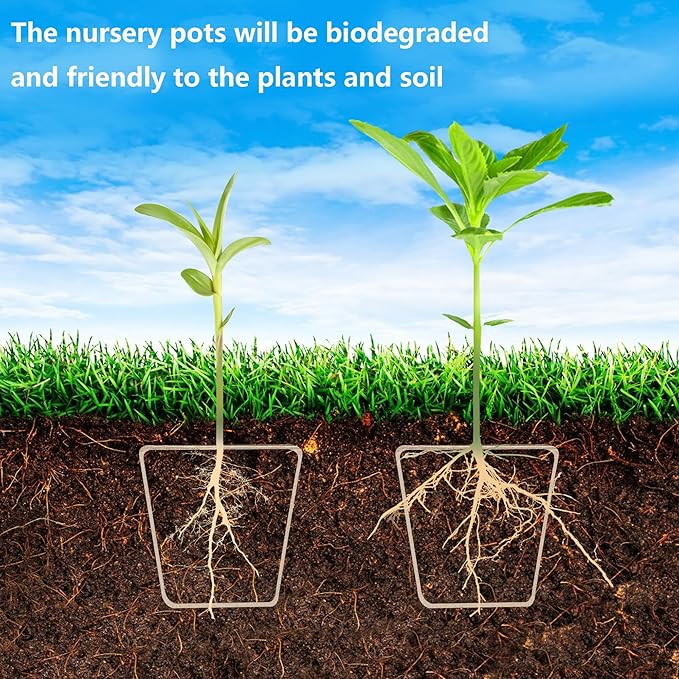 Purple Star 20 Pcs Biodegradable Nursery Pots with Humidity Dome- 2.3 Inch Square Seeding Starter Pot for Planting- Peat Pots for Seedlings Garden Vegetable Flower Germination