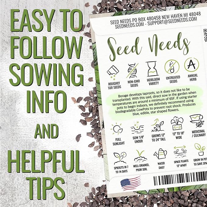 Seed Needs Borage Seeds for Planting White Borago officinalis Starflower - Non-GMO Heirloom & Untreated Herb Seed to Plant and Grow an Outdoor Home Grown Garden (1 Pack)