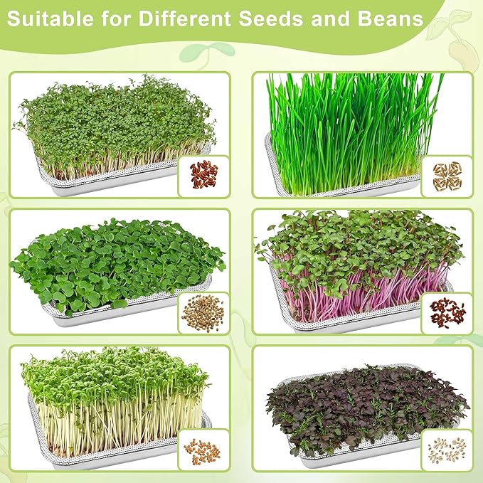 Stainless Steel Sprouts Growing Kit 2-Tier 14 inch Trays, Microgreens Growing Kit, Seed Sprouting Tray with Encrypted Mesh Sprouts for Beans Alfalfa Broccoli Wheat Grass