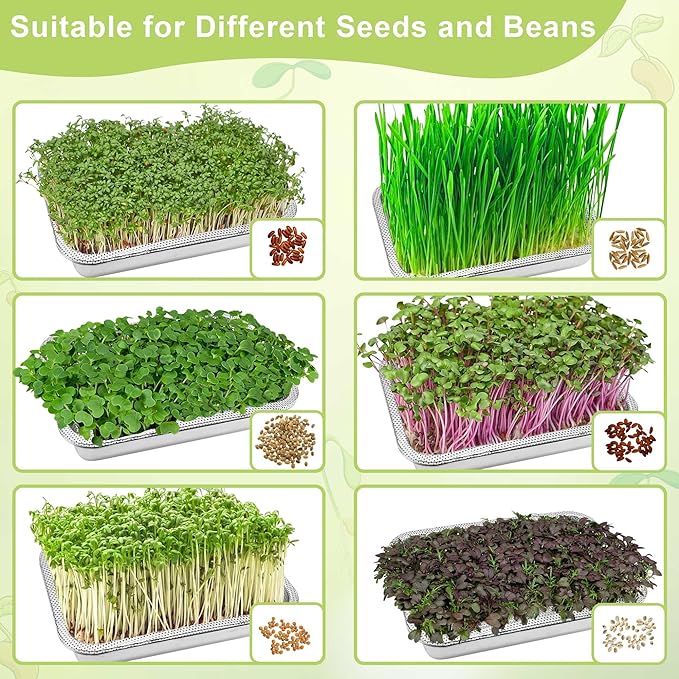 Stainless Steel Sprouts Growing Kit 4-Tier 10.4 inch Trays, Microgreens Growing Kit, Seed Sprouting Tray with Encrypted Mesh Sprouts for Beans Alfalfa Broccoli Wheat Grass