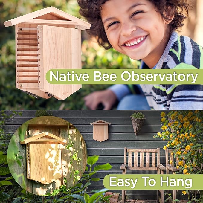 Rivajam Native Bee Observatory | Mason Bee Houses for Pollinating Bees | Pollinator Bee Houses for The Garden Lover | Leaf cutter Bee Home | Unique Gardening Gifts