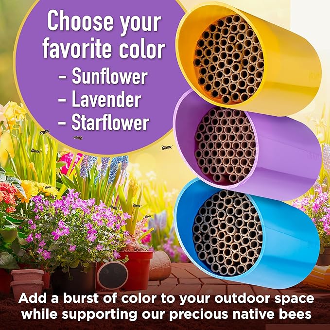 Rivajam Color Splash Mason Bee House - Vibrant & Strong Waterproof Bee Hotel & Insect Habitat - Mason Bee Tubes Filled Bee Houses for The Garden - Pollinator House Bug Hotel Gardening Gifts