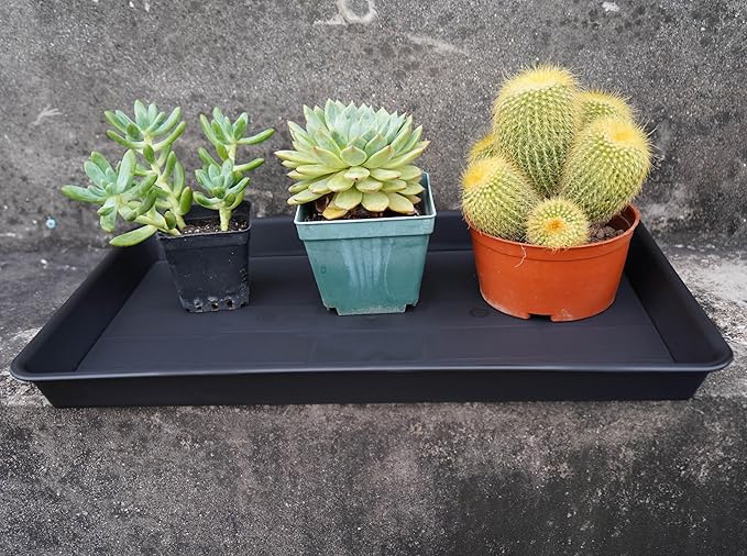 Plant Saucer Growing Tray, Seed Starter Tray Rectangular, Heavy Sturdy Plastic Plant Drainage Saucers, Plant Drip Trays for Pots, Seed Starter Growing Trays (11 x 9 inch, 2 Pack)