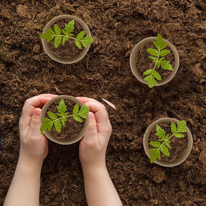 300 Pieces Peat Pots Seed Starters 3.15 Inch Peat Pots Round Biodegradable Seed Starting Pots with 300 Plant Labels, Planter Nursery Pots with Drainage Holes for Vegetable Seed