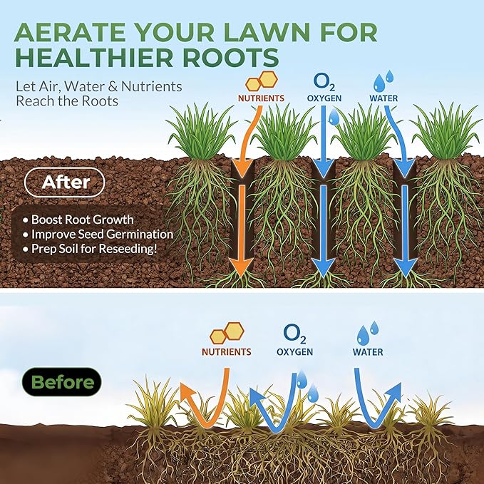 Walensee Four-Row Spike Lawn Aerator,Manual Heavy-Duty Steel Aerator Lawn Tool with 20 Sharp Spikes,Ideal for Small Yards,Lawn Edges,Spot Seeding & Soil Prep,Bare Spots Repair,Gardening Aeration Tool