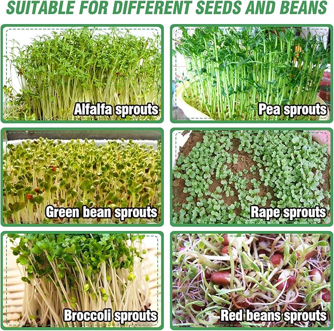 Aulock Stainless Steel Seed Sprouting Kit - 3-Tier Microgreens Growing Tray 7.9 in Dia, Stackable Round Sprouter Maker with Encrypted Mesh, Sprouts Grower for Beans Broccoli Alfalfa Seeds Wheat Grass