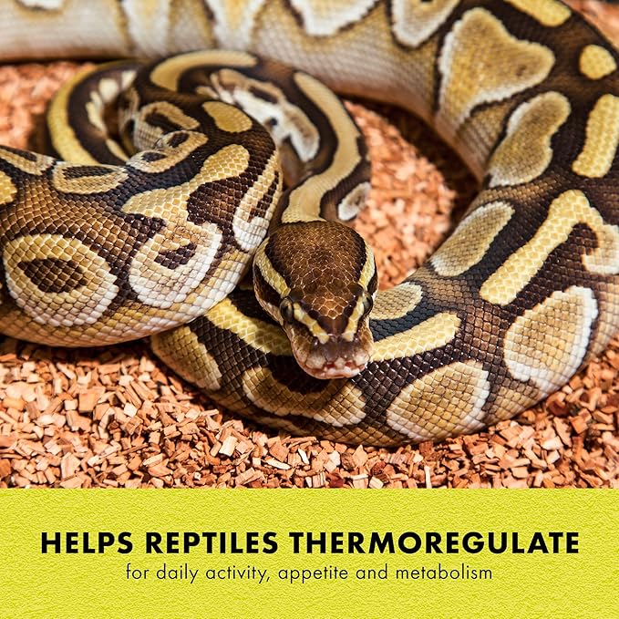 Zilla Heat Mat, Terrarium Heater for Reptiles, Snakes (Ball Pythons, Corn Snakes), Leopard Geckos, Tortoises, Amphibians and Arachnids, Mini, Fits 1-5 Gallon, 4 Watt