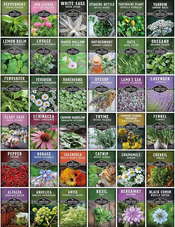 Ultimate Medicinal Herb Seeds Variety Pack – 36 Heirloom Non-GMO Healing Herbs for Planting | Wellness & Apothecary Garden Kit for Herbalists, Homesteaders – Survival Garden Seeds (28,000+)