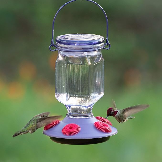 Perky-Pet 9101-2 Lavender Field Top-Fill Glass Hummingbird Feeder Purple 16 oz Capacity