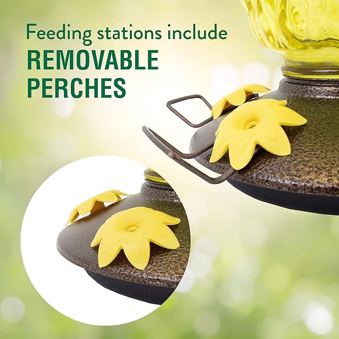 Perky-Pet 9110-2 Pineapple Top-Fill Glass Hummingbird Feeder – 28 oz