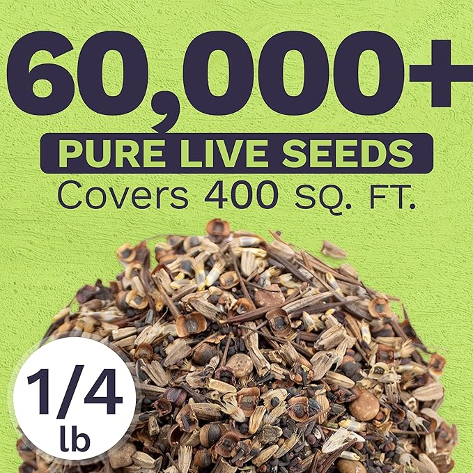 Texas Oklahoma Wildflower Seeds Mixture - Bulk 1/4 Pound Bag - Over 60,000 Native Seeds - Open Pollinated and Non GMO