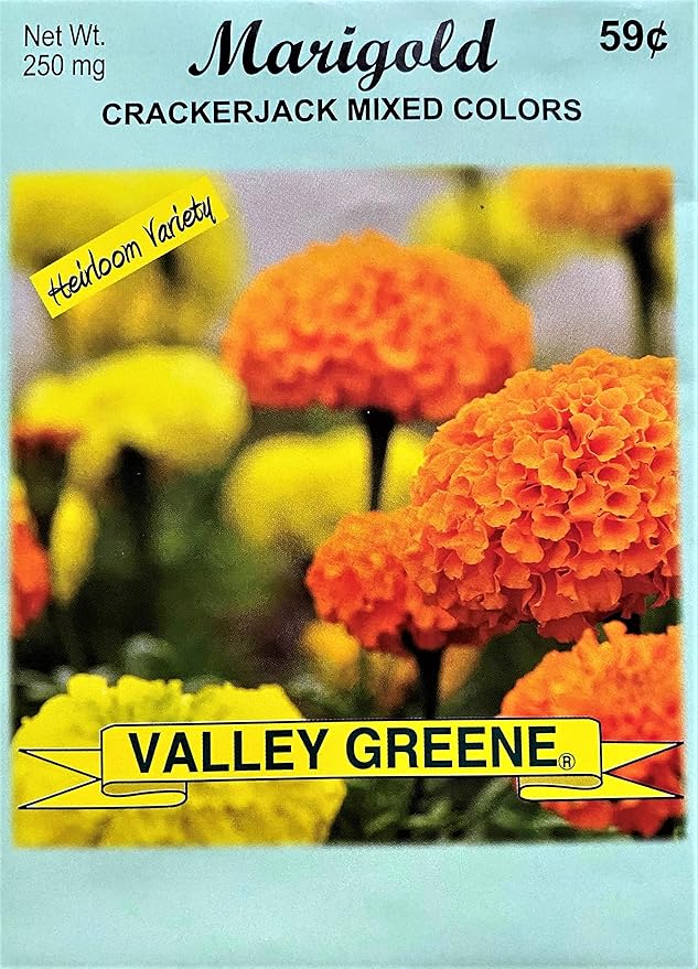 Set of Flower Seed Packets! Flower Seeds in Bulk - Great for Creating The Garden of Your Dreams! (200, Marigold - Crackerjack)