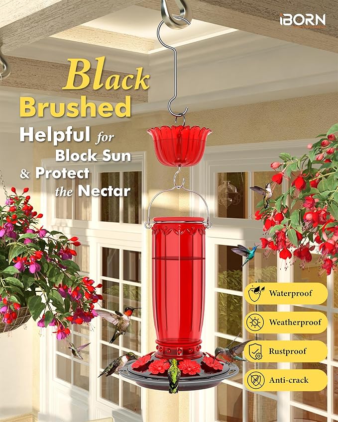 iBorn Glass Hummingbird Feeder for Outdoors Hanging Ant and Bee Proof Ant Moat for Hummingbird Feeder 8 Ports for 16oz Hummingbird Nectar, Brushed Black Nickle Cover Red Glass, Pack of 1, 2024 New