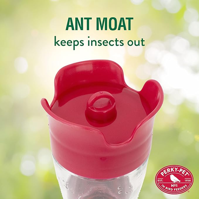 Perky-Pet Favored Pinch-Waist Glass Hummingbird Feeder with Built-in Ant Moat and Bee Guards - 16 oz Capacity - 204CP-4