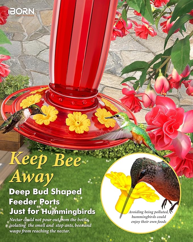 iBorn Hummingbird Feeders for Outdoors Hanging with Ant Moat for Hummingbird Feeder Glass 8 Ports for 16oz Humming Bird Nectar,Yellow Flowers Red Glass, Pack of 1