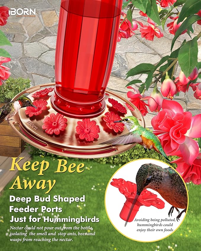 iBorn Glass Hummingbird Feeder for Outdoors Hanging Ant and Bee Proof Ant Moat for Hummingbird Feeder 8 Ports for 16oz Hummingbird Nectar,Brushed Copper Base Red Glass, Pack of 1, 2024 New