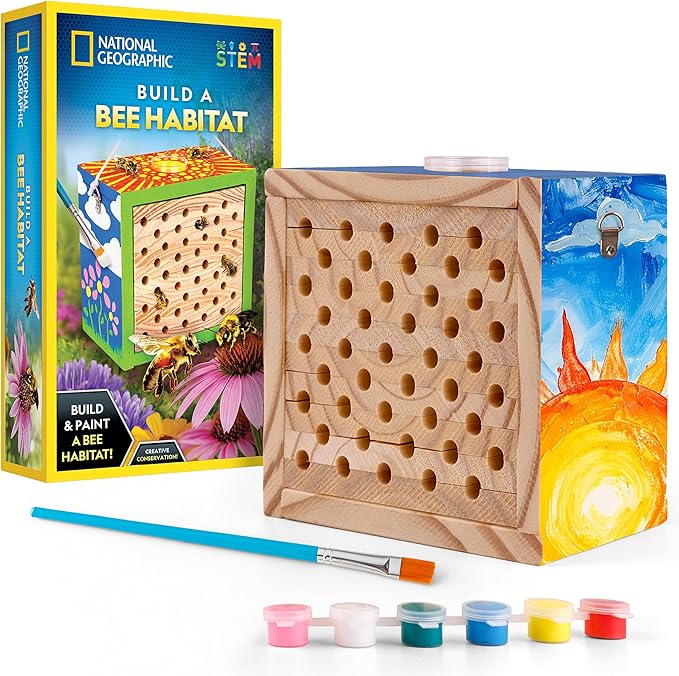National Geographic Build a Bee Habitat Craft Kit for Kids – Paint & Build a House for Mason Bees, Outdoor Arts & Crafts, Nature Learning Activity, DIY Pollinator Garden Craft, Solitary Bee Hotel