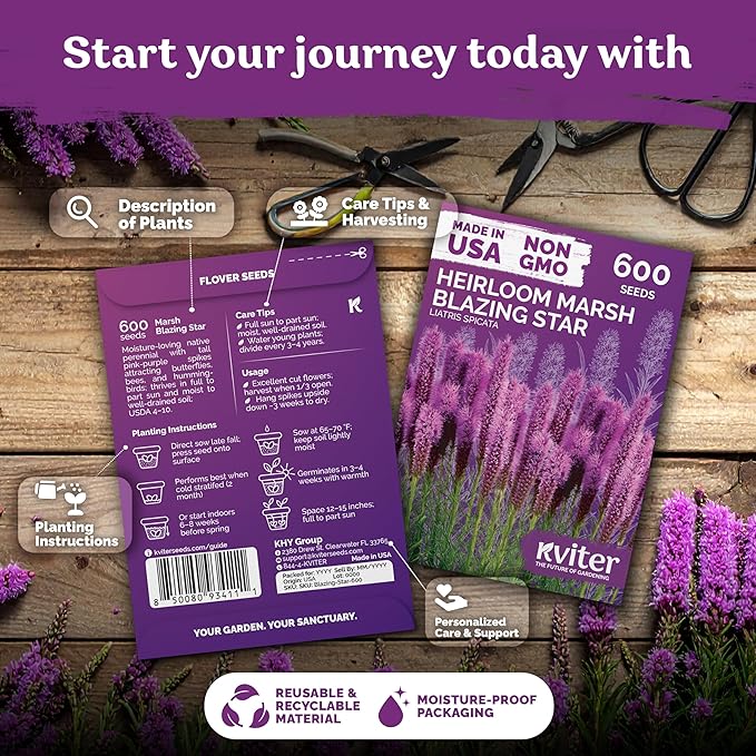 KVITER 600 Marsh Blazing Star Seeds for Planting (Liatris Spicata) – Gayfeather Dense Meadow Blazing Star Seed Packet – Heirloom Seed, Perennial Wildflower Seeds Bulk for Garden, Containers, Outdoors