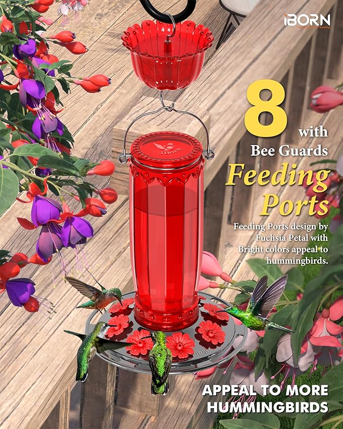 iBorn Glass Hummingbird Feeder for Outdoors Hanging Ant and Bee Proof Ant Moat for Hummingbird Feeder 8 Ports for 16oz Hummingbird Nectar, Brushed Black Nickle Cover Red Glass, Pack of 1, 2024 New