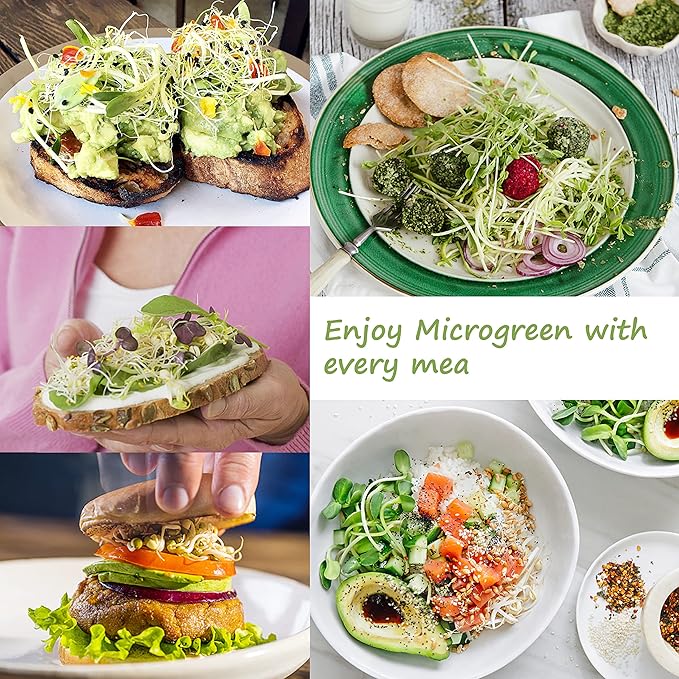 Microgreen Growing Trays, 5" x 5" Sprouting Tray with Humidity Dome, 1.2 mm Small Mesh Holes, BPA Free, Sprouter Kit for Growing Mirco Seeds, Like Broccoli, Alfalfa, Radish, Clover - 6 Pack | Colorful