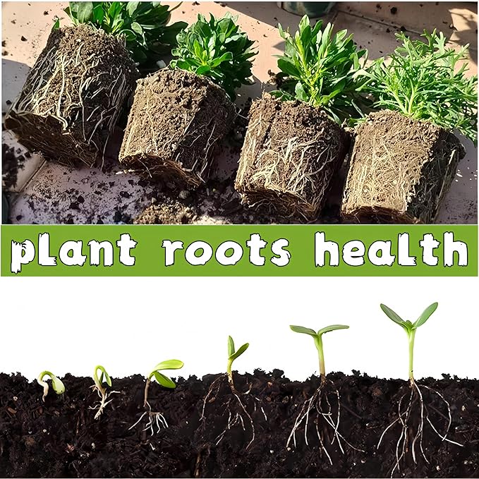 240 Cells Seed Starter Tray 24 Packs Biodegradable Peat Pots Germination Trays Organic Seed Starting Trays kit with 24 Labels 2 Transplant Tools