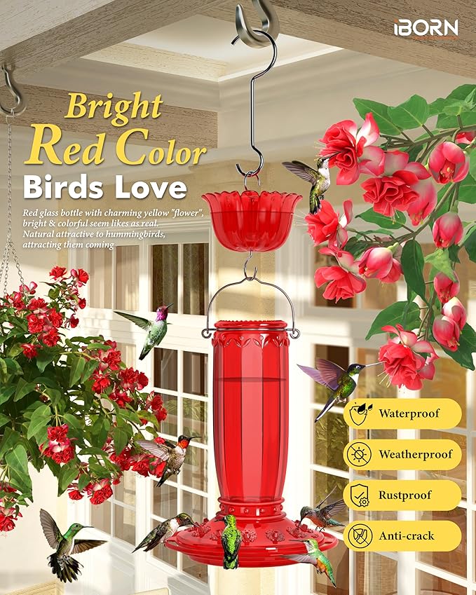 iBorn Hummingbird Feeders for Outdoors Hanging with Ant Moat for Hummingbird Feeder Glass 12 Ports for 16oz Humming Bird Nectar, Red Glass, Pack of 1