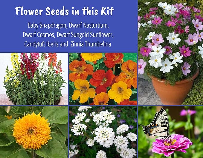 Butterfly Garden Flower Seed Starter Kit- Grow 6 Types of Wildflower Seeds Sized for Flower Pots- Nasturtium, Zinnia, Cosmos, Dwarf Sunflower, Baby Snapdragon and Candytuft