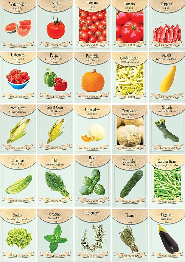 Set of 25 Premium Seasonal Deluxe Seed Kits - Features Premade Packs of Our Best Seeds - Help Local Pollinators (Summer)