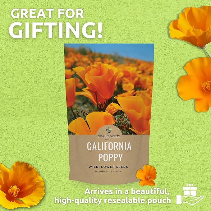 Bulk California Orange Poppy Wildflower Seeds - 1 Pound Bag - Over 320,000 Native Seeds - California State Flower!