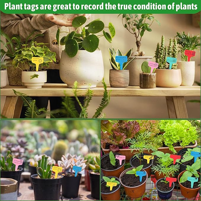 Plant Labels Tags 200Pcs T-Type Plant Markers Plastic Plant Label Garden Labels Tags Plant Labels for Outdoor Garden Waterproof Plant Label Identification Stakes with Permanent Marking Pen 5 Colors
