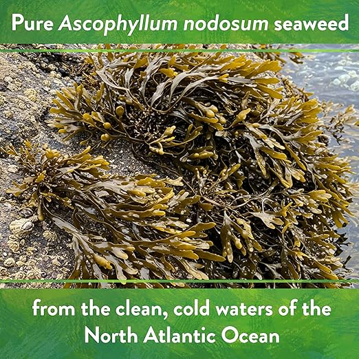 Down To Earth All Natural Fertilizers Organic Kelp Meal - Plant Food with Seaweed (Ascophyllum nodosum), Potassium and Trace Minerals 1-0.1-2, 4 lb