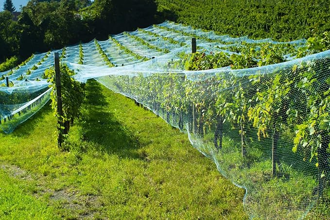 CandyHome 13Ft x 33Ft Anti Bird Protection Mesh Garden Netting Seedlings Plants Flowers Fruit Trees Vegetables from Rodents Deer Reusable Fencing, Green