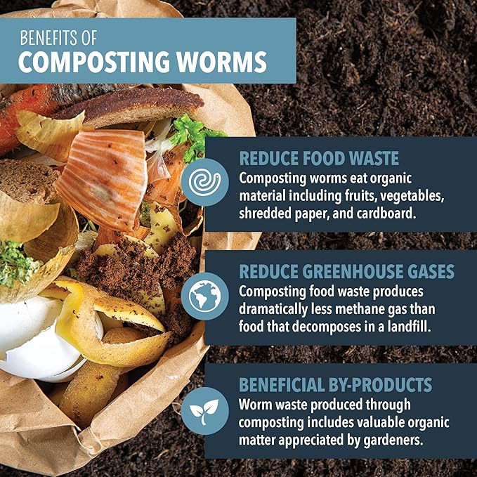 Worm Nerd Composting Worms – Live Red Wriggler Compost Worms Mix – Sustainable Compost Worms Live for Organic Materials - Worm Composting Set for Better Soil Structure 250 Worms *CANNOT SHIP TO HAWAII