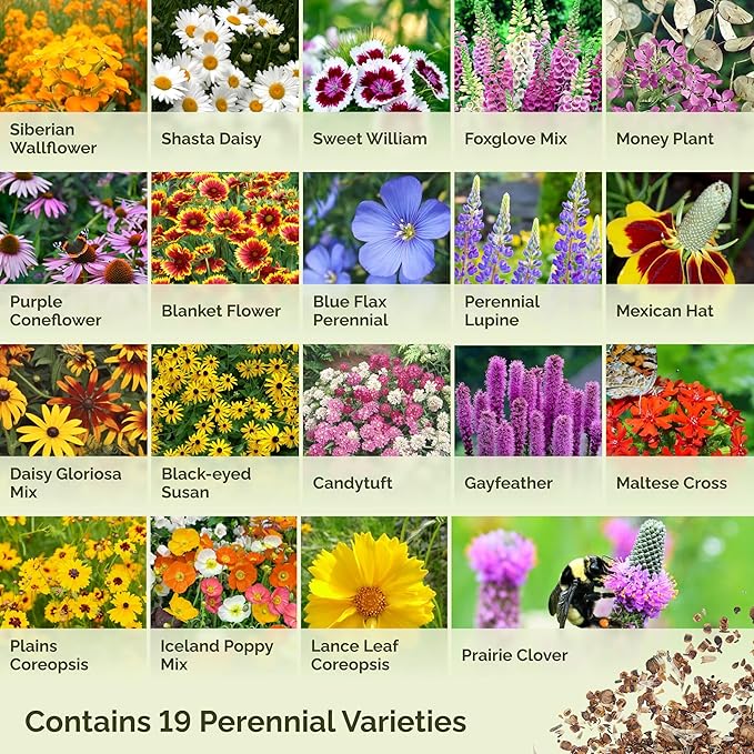 Eden Brothers All Perennial Wildflower Mixed Seeds for Planting, 10 lb, 4,800,000+ Seeds with Lupine, Shasta Daisy | Attracts Pollinators, Plant in Spring or Fall, Zones 3, 4, 5, 6, 7, 8, 9, 10