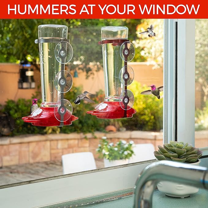 Large Leak Proof Window Hummingbird Feeders for Outdoors Hanging - Wasp and Bee Proof - Window Hummingbird Feeder for Outdoor - Window Mount