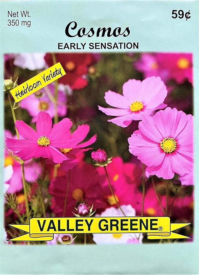 Set of Flower Seed Packets! Flower Seeds in Bulk - Great for Creating The Garden of Your Dreams! (200, Cosmos - Early Sensation)
