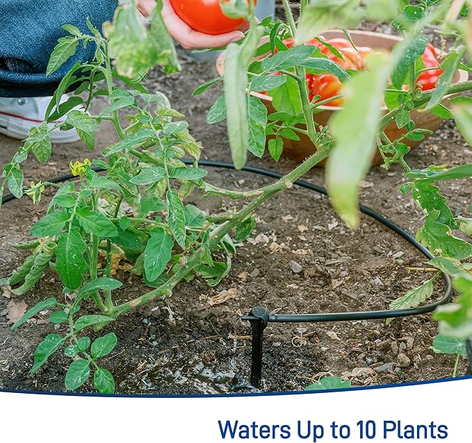 Orbit 91944 Tomato Garden Drip Irrigation System - Complete 10-Plant Watering Kit with Push-Connect Fittings, Water-Saving Design for Vegetables & Garden Boxes