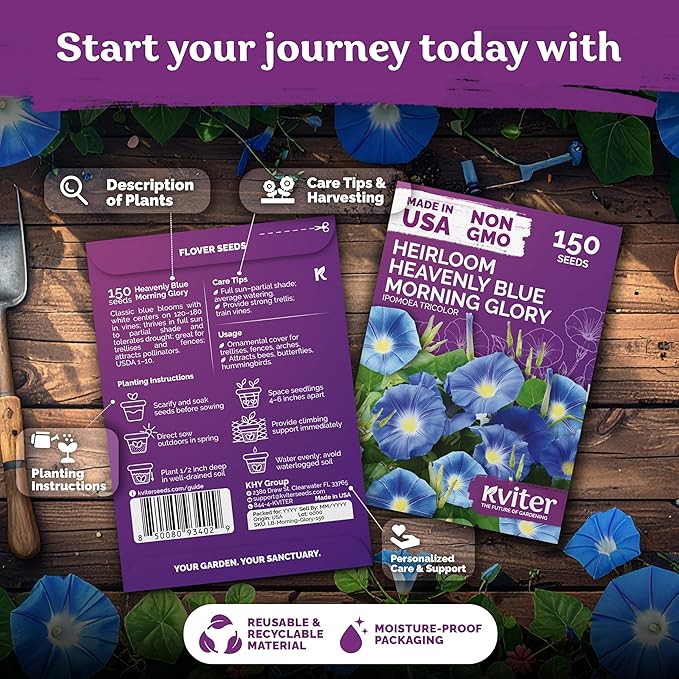 KVITER 150 Heavenly Blue Morning Glory Seeds Bulk (Ipomoea Tricolor) – Heirloom Seed Packets – Climbing Flower Seeds for Planting Outside, Blue Blooms for Home Garden Trellises, Fences