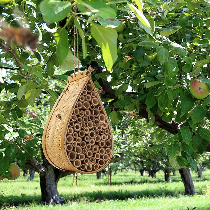 Honey Keeper Mason Bee House, Natural Bamboo Teardrop Bee Hive