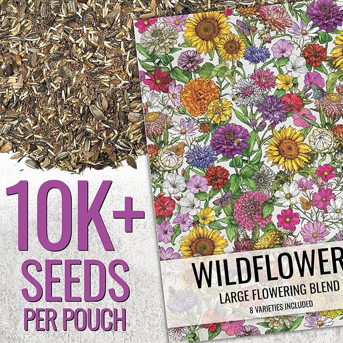 Seed Needs 2 Ounce Large Blooms Mix Hummingbird and Butterfly Garden Wildflower Flower Seeds for Planting | 7 Varieties Open Pollinated | Resealable Package Live Wild Flower Seed | Bulk