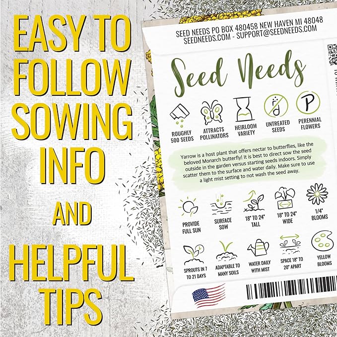 Seed Needs Gold Yarrow Seeds for Planting Yellow Achillea filipendulina - Heirloom & Open Pollinated Perennial Flowers to Attract Monarch Butterflies to a Butterfly Garden (5 Packs)