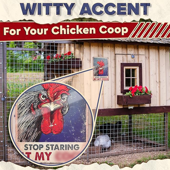 Chicken Coop Signs 8 x 12 Inches – Dont Staring at My Funny Signs, Rooster Decor – Lightweight Durable Tin Metal Wall Decor for Bathroom, Fade-Resistant, Easy to Install, Indoor/Outdoor Use | Decorative and Practical Gift
